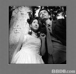 囍結良緣 一站式婚禮與婚介服務引領幸福新時代